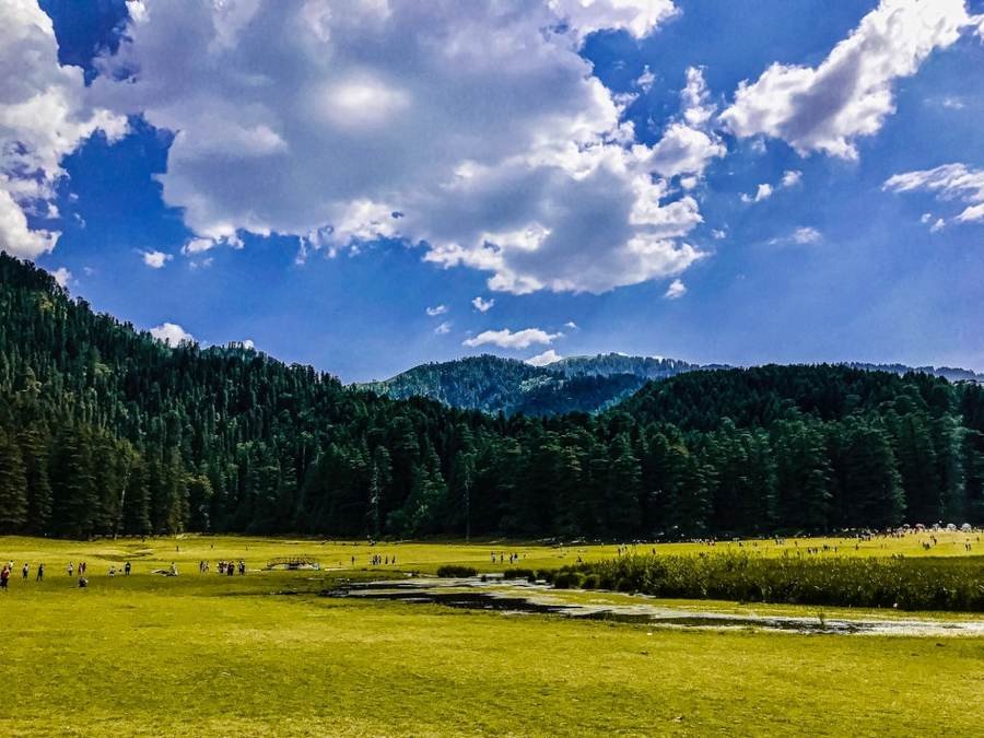 Khajjiar meadow surrounded by deodar forest near Dalhousie
