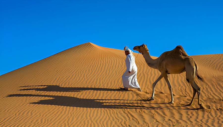 A man leading a camel across a sand dune under a clear blue sky