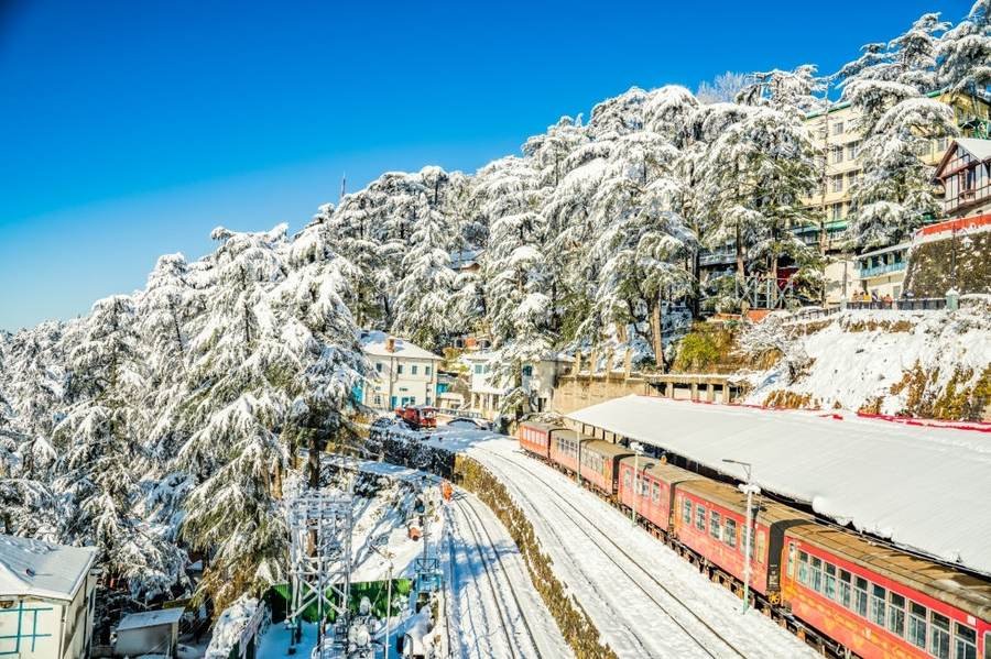 Kalka-Shimla toy train running through a snow-covered pine forest