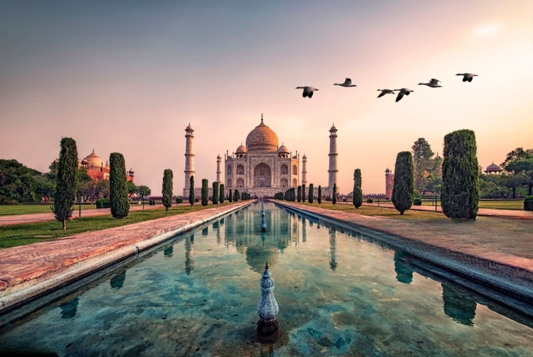dmc uttar pradesh b2b taj mahal