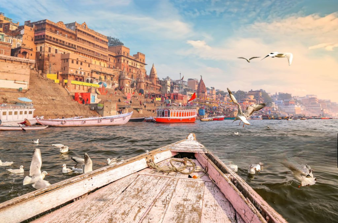 dmc uttar pradesh b2b varanasi 1